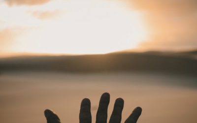 HIRDETÉSEK – 2019. MÁJUS 12